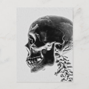X-Ray Skull Postkarte