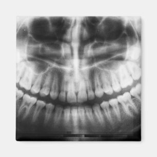 X-Ray Teeth Mouth Smile Schwarz-Weiß Magnet