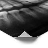 X-Ray Teeth Mouth Smile Schwarz-Weiß Poster (Ecke)