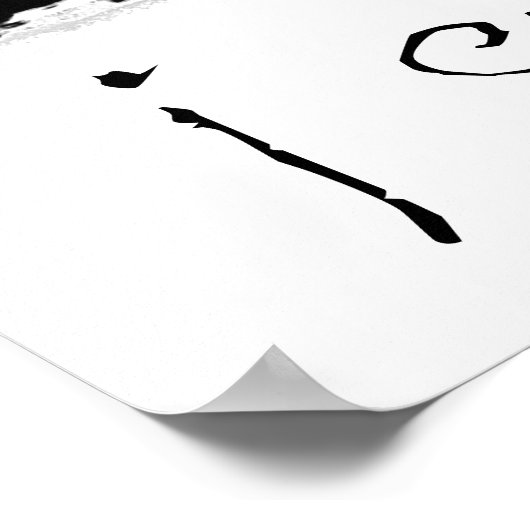 X-RAY VISION KAMERA - SCHWARZ & WEISS POSTER (Ecke)