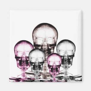 X-Ray-Vision-Skelettfächer in gemischten Farben Magnet