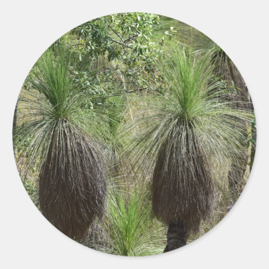 XANTHORRHOEA GRASS TREE BUSH PFLANZE AUSTRALIEN RUNDER AUFKLEBER (Vorderseite)