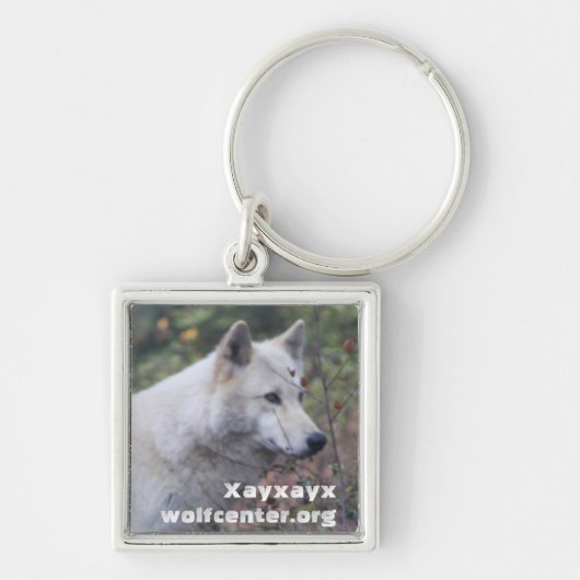 Xayxayx Schlüsselanhänger (Vorne)