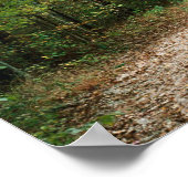 XC RUNNERS GEHEN AUF DEM FERNSEHPLATTENpapier 16"x Poster (Ecke)