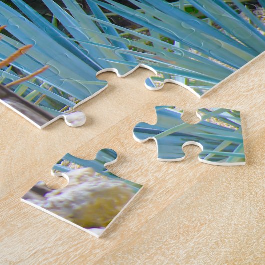 Xcaret Park Mexiko. Puzzle (Seite)