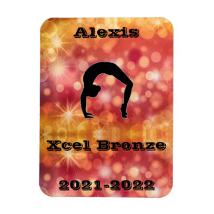 Xcel Bronze Gymnastik Magnet