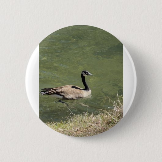 xcvdvdf button (Vorderseite)