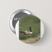 xcvdvdf button (Vorne & Hinten)