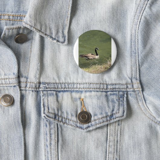 xcvdvdf button (Beispiel)