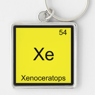 Xe - Xenoceratops Symbol für die sonnige Chemie Schlüsselanhänger