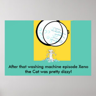 xeno pg 5041 copy, Nach dieser Waschmaschine e... Poster