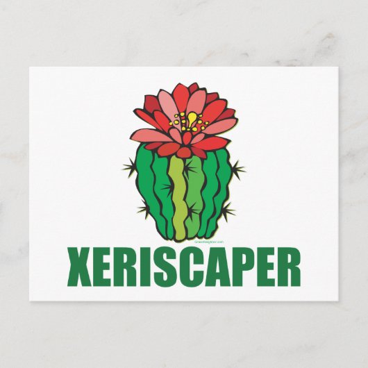Xeriscaping Postkarte (Vorderseite)