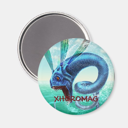 Xhoromag 10 magnet (Vorderseite/Rückseite)