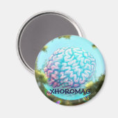 Xhoromag 12 magnet (Vorderseite/Rückseite)