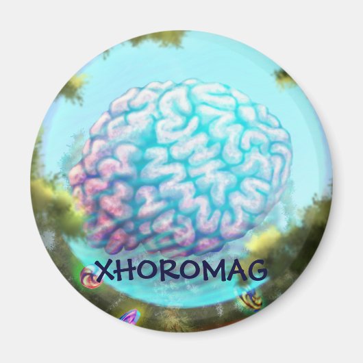 Xhoromag 12 magnet (Vorne)