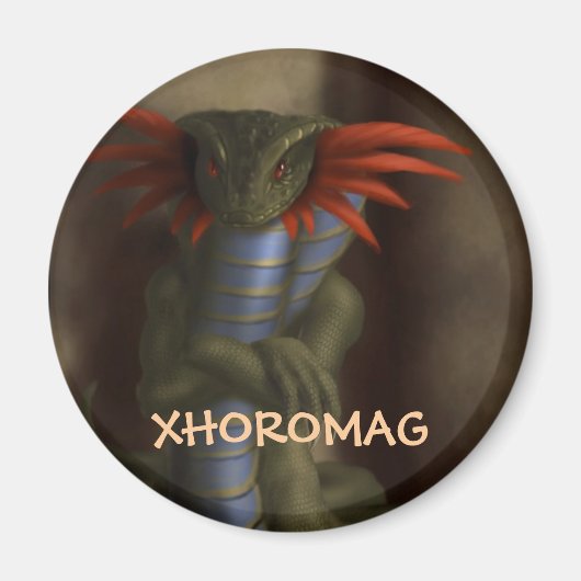 Xhoromag 17 magnet (Vorne)
