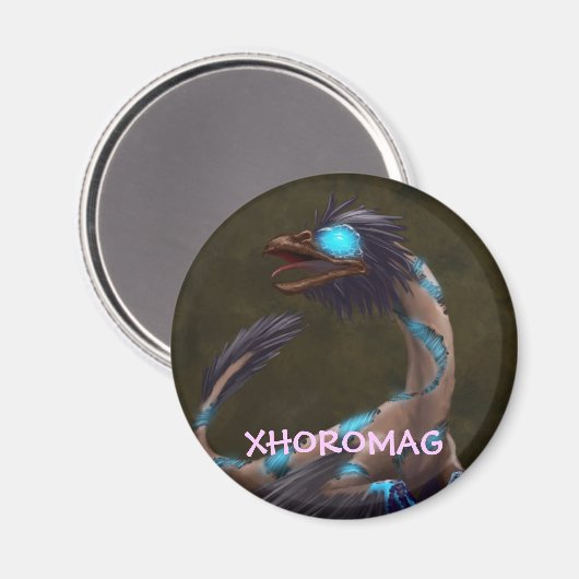 Xhoromag 19 magnet (Vorderseite/Rückseite)