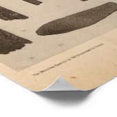 XI Knochenerzeugnisse, Südkalifornien Poster (Ecke)