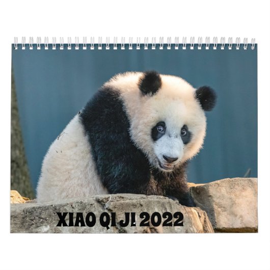 Xiao Qi Ji 2022 Kalender (Titelbild)