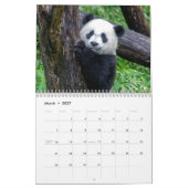 Xiao Qi Ji 2022 Kalender (Mär 2027)