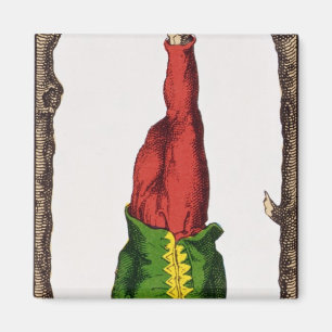 XII der gehangene Mann, Tarotkarte Magnet