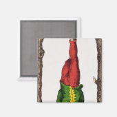 XII Der verhasste Mann, Tarot-Karte Magnet (Vorderseite/Rückseite)