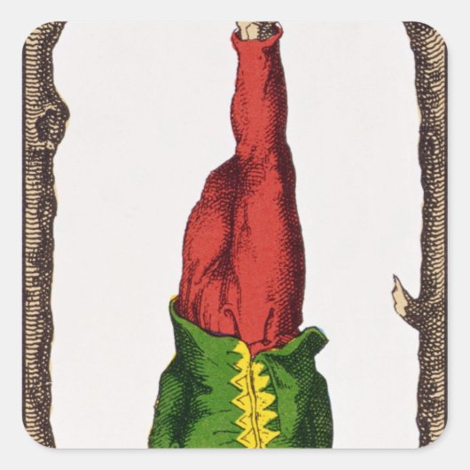 XII Der verhasste Mann, Tarot-Karte Quadratischer Aufkleber (Vorderseite)