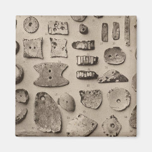 XII Muschel-Ornamente, also Kalifornien Magnet