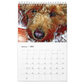 Xine’s Pack of Strays & Others Calendar Kalender (Jan 2027)