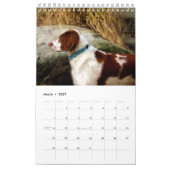 Xine’s Pack of Strays & Others Calendar Kalender (Mär 2027)