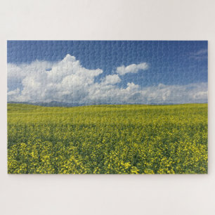 Xinjiang Field Puzzle