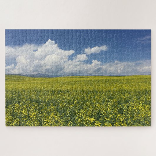 Xinjiang Field Puzzle (Horizontal)