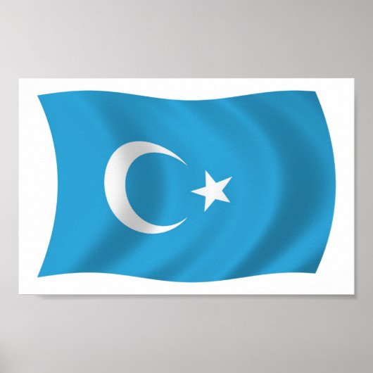 Xinjianj Uigur Flag Poster drucken (Vorne)