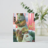 Xiong Mao Postkarte (Stehend Vorderseite)