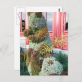 Xiong Mao Postkarte (Vorne/Hinten)