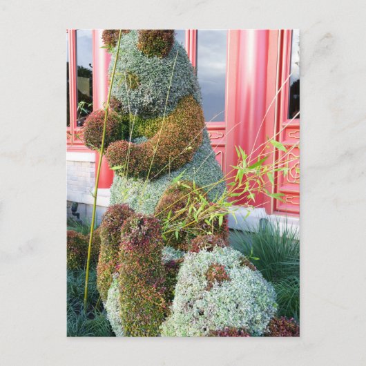 Xiong Mao Postkarte (Vorderseite)