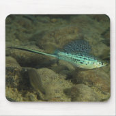 Xiphophorus montezumae - Montezumae Swordtail Mousepad (Vorne)