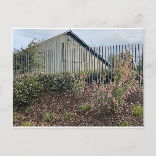 XITINERARIEN: Historischer Stall Postkarte (Vorderseite)