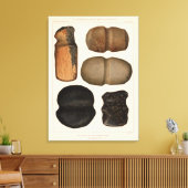 XIX Stone-Werkzeuge, New Mexico Leinwanddruck (Insitu (Wohnzimmer))