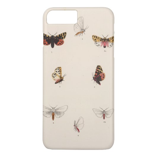 XL Arctia, Leucarctia, Euchaetes Case-Mate iPhone Hülle (Rückseite)