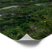 Xlendi Cliffs- Gozo, Malta Poster (Ecke)