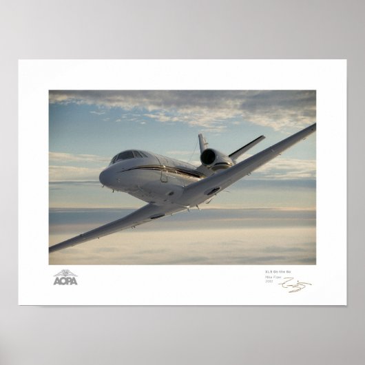 XLS auf der Go-Galerie Poster (Vorne)