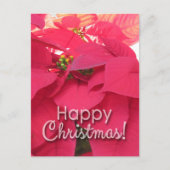 Xmas 001 - Postcard Postkarte (Vorderseite)