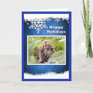 xmas-bengal-cat-12 feiertagskarte