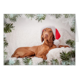 Xmas Card / Christmas Card "Magyar Vizsla"