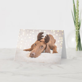 Xmas Card / Christmas Card "Magyar Vizsla" Feiertagskarte