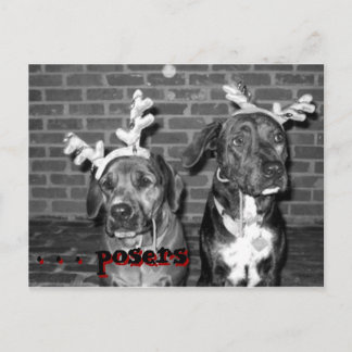 xmas card recrokontrast, . . . Poster, . . ... Feiertagspostkarte