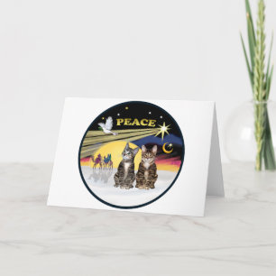 Xmas Dove - Zwei Tabby Katzen Feiertagskarte