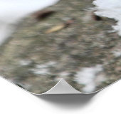 Xmas Eichhörnchen im Schnee Poster (Ecke)