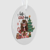 Xmas Geschenk Hallo kalte Tage Ornament (Vorderseite)